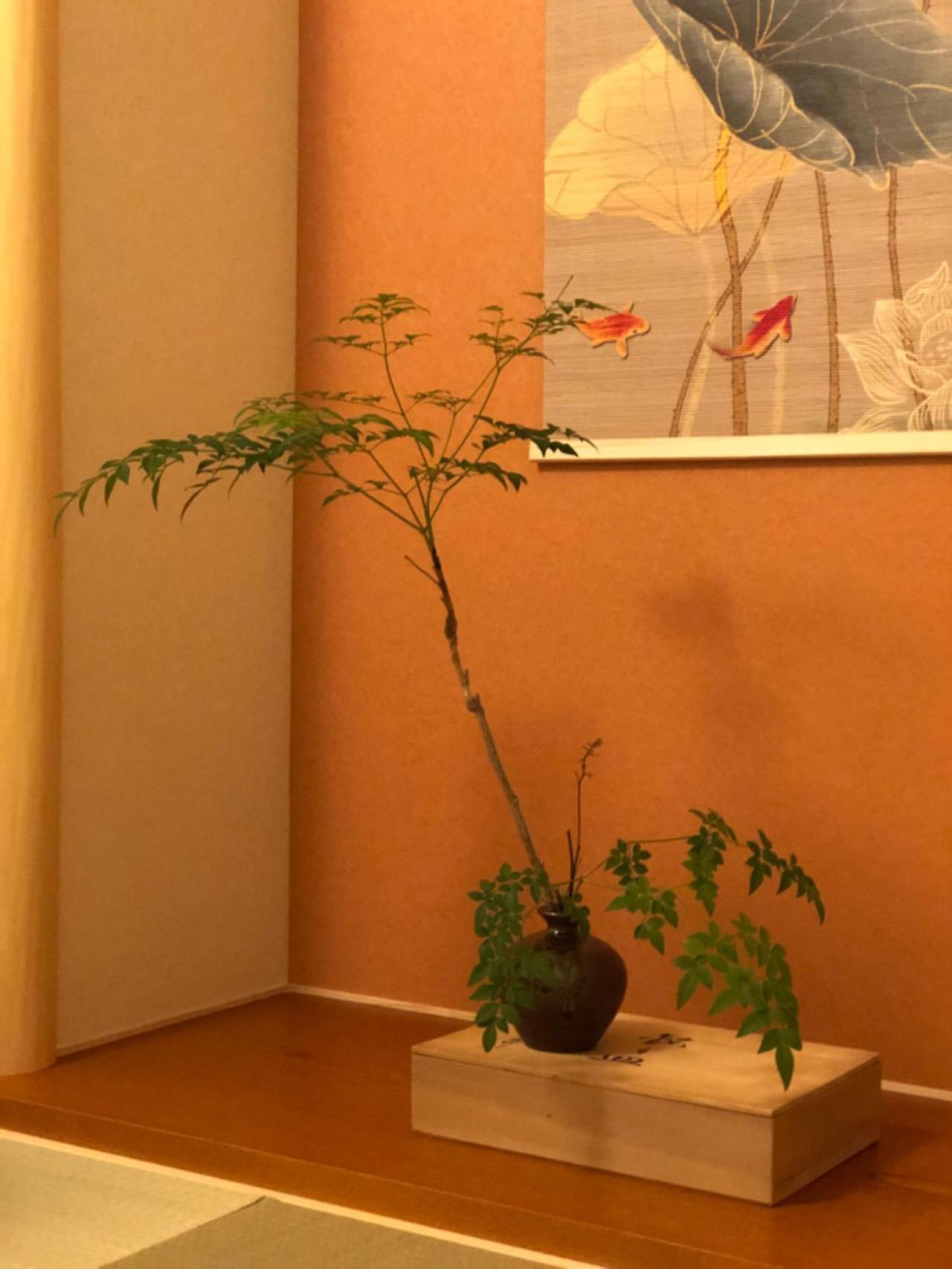 静雅の宿 Κιότο Εξωτερικό φωτογραφία